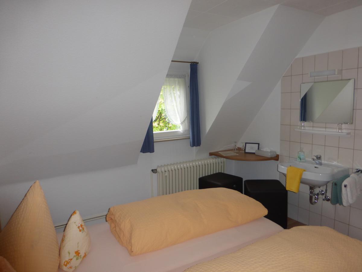 Hotel Hotel-restaurant Adler Neuenburg am Rhein